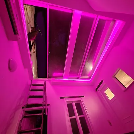 Atrium House *